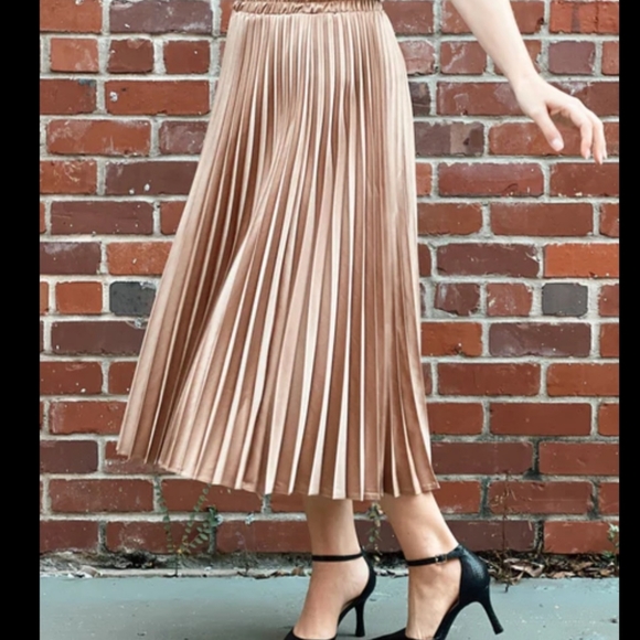 Sadie & Love Dresses & Skirts - Sadie & Love Sateen Accordion Pleated Midi Skirt size L